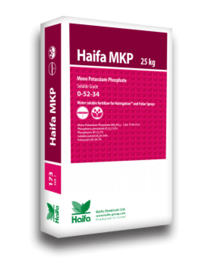 Haifa MKP 0-52-34